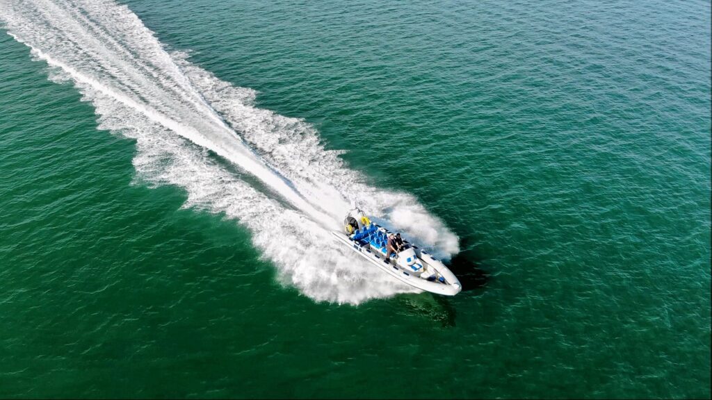 fast boat, speed boat, powerboat, speed, summer, boat, race, competition, sport, blue, wave, sea, splashing, nature, ocean, fast boat, fast boat, fast boat, fast boat, fast boat, speed boat, speed boat, speed boat, powerboat, boat