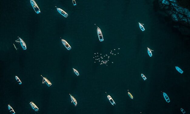 Type Of Boats | From Pontoons to Yachts – A Complete Guide