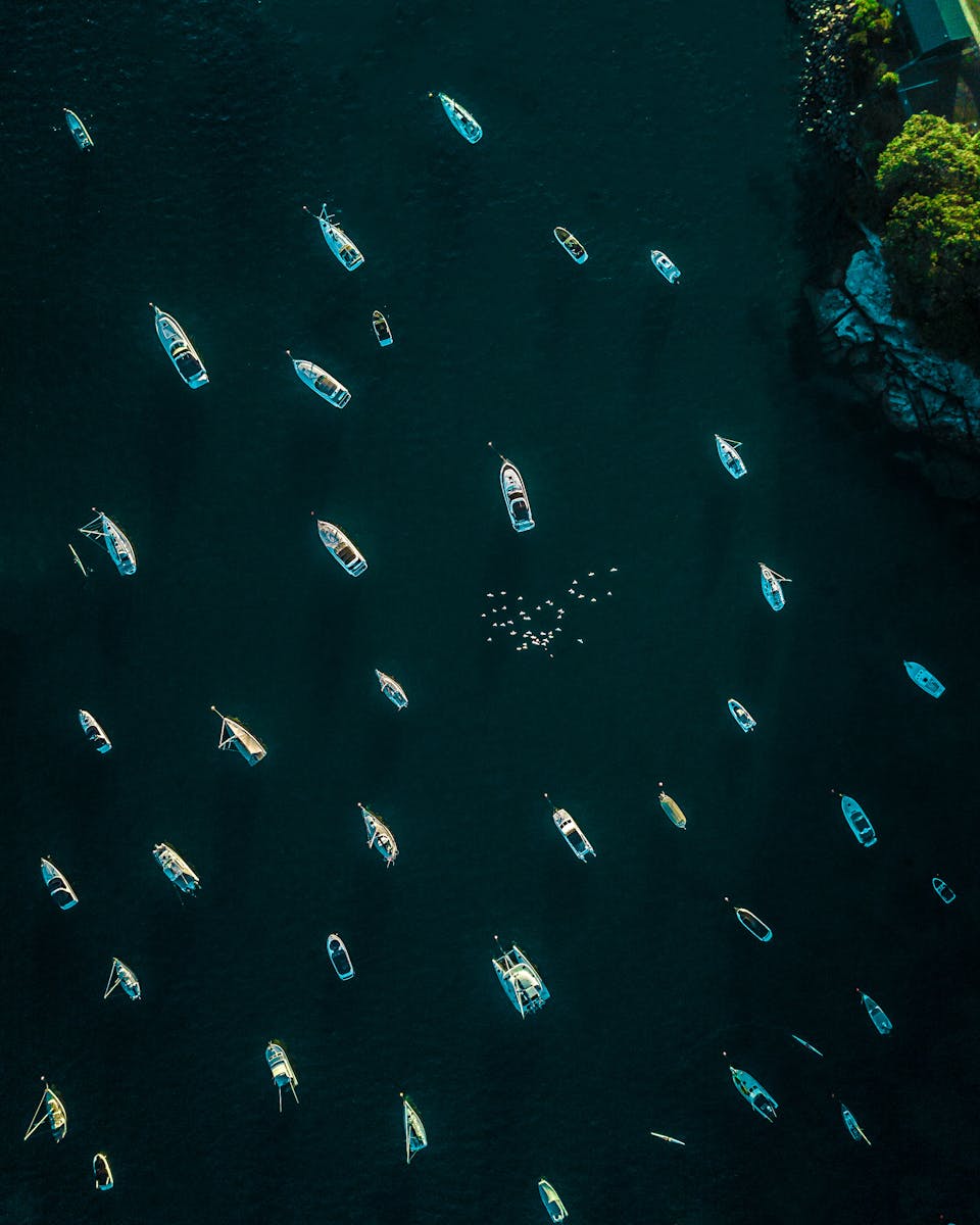 Type Of Boats | From Pontoons to Yachts – A Complete Guide