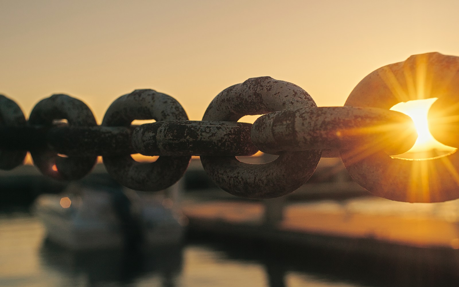 South Carolina Boat Transport | How to Relocate Your Boat Along the Palmetto State’s Coastline