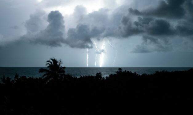 Tropical Storm Disaster Relief | Keeping Relief Running Smoothly