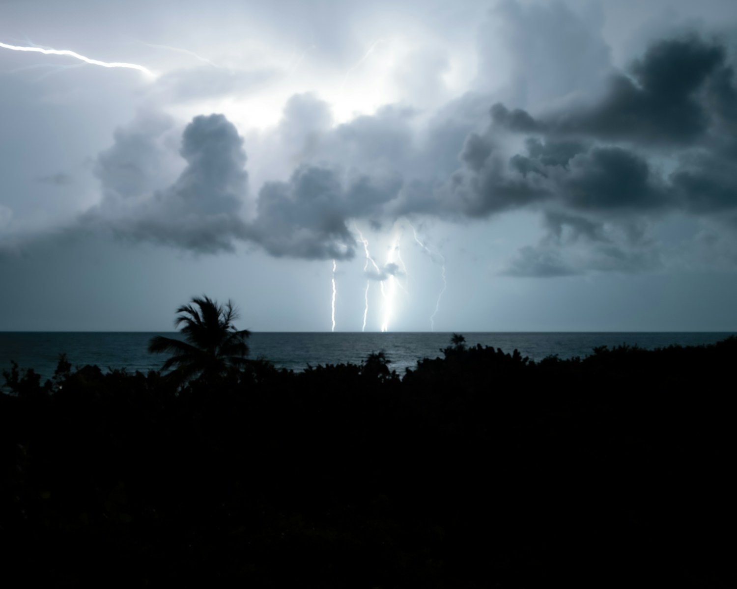 Tropical Storm Disaster Relief | Keeping Relief Running Smoothly