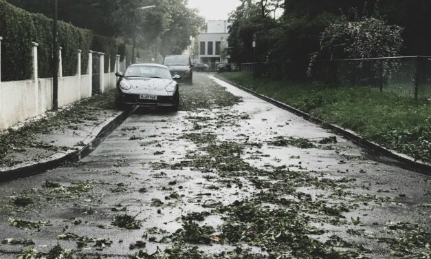 Healing From The Hurricane Aftermath | What You Need To Know