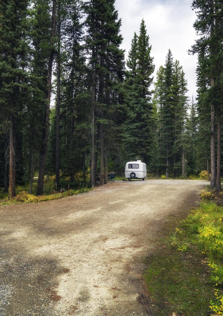 summer, rv, camper, caravan, travel, trailer, vehicle, outdoor, van, nature, vacation, holiday, tourism, trip, journey, recreational, recreation, traveler, woods, camping, outdoors, pines, northwest, wild