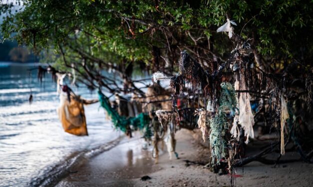 All You Need To Know About Disaster Cleanup As the 2025 Hurricane Season Ends