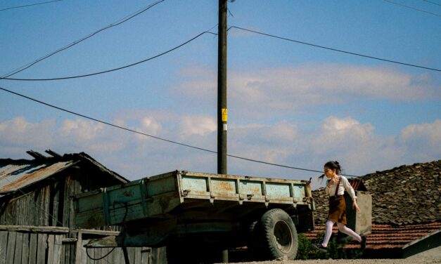 Types of Trailers Explained: What Interstate Haulers Ship Every Day