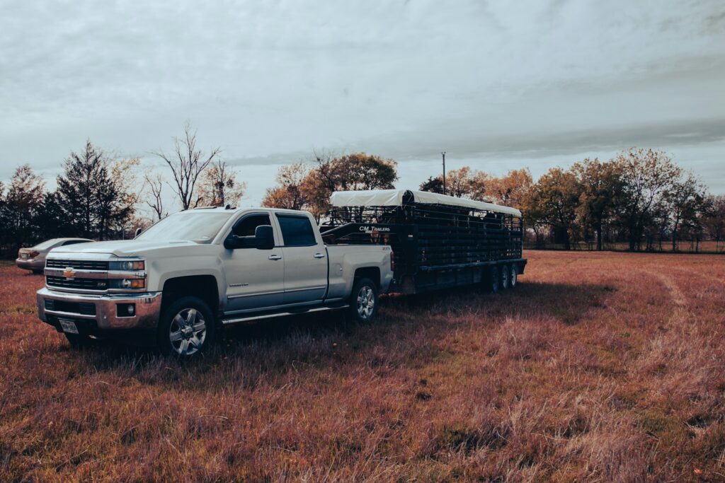 a silver truck parked in a field with trees in the background