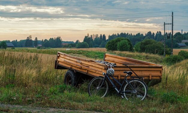 Tandem Trailer Shipping: Weight, Length, and Transport Considerations