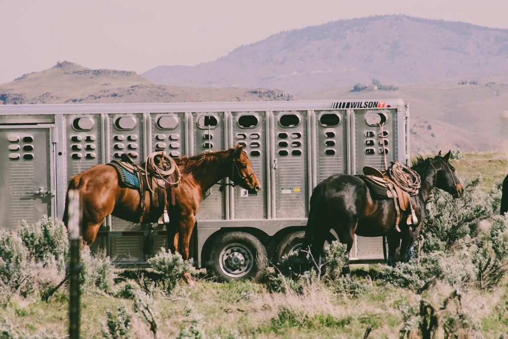 Two saddled horses beside a livestock trailer in a rural mountainous landscape.