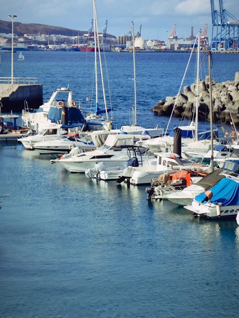 A serene marina with numerous boats docked by the clear blue water under a sunny sky.