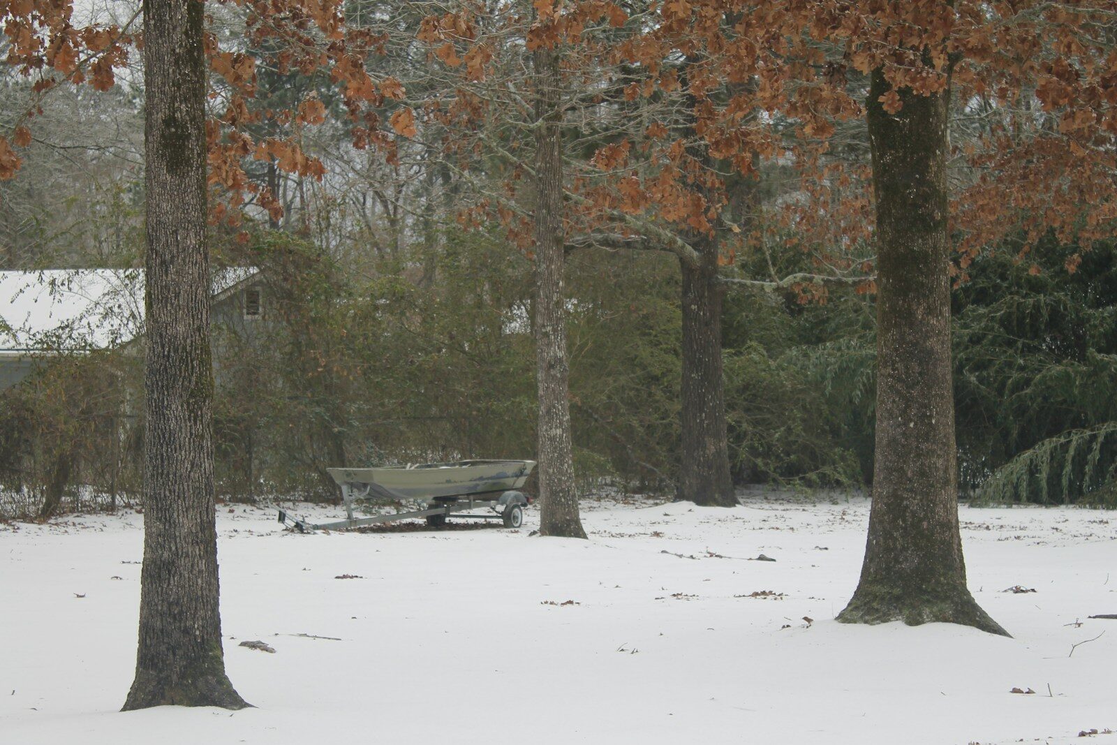 Trees and a covered boat in a snowy yard.