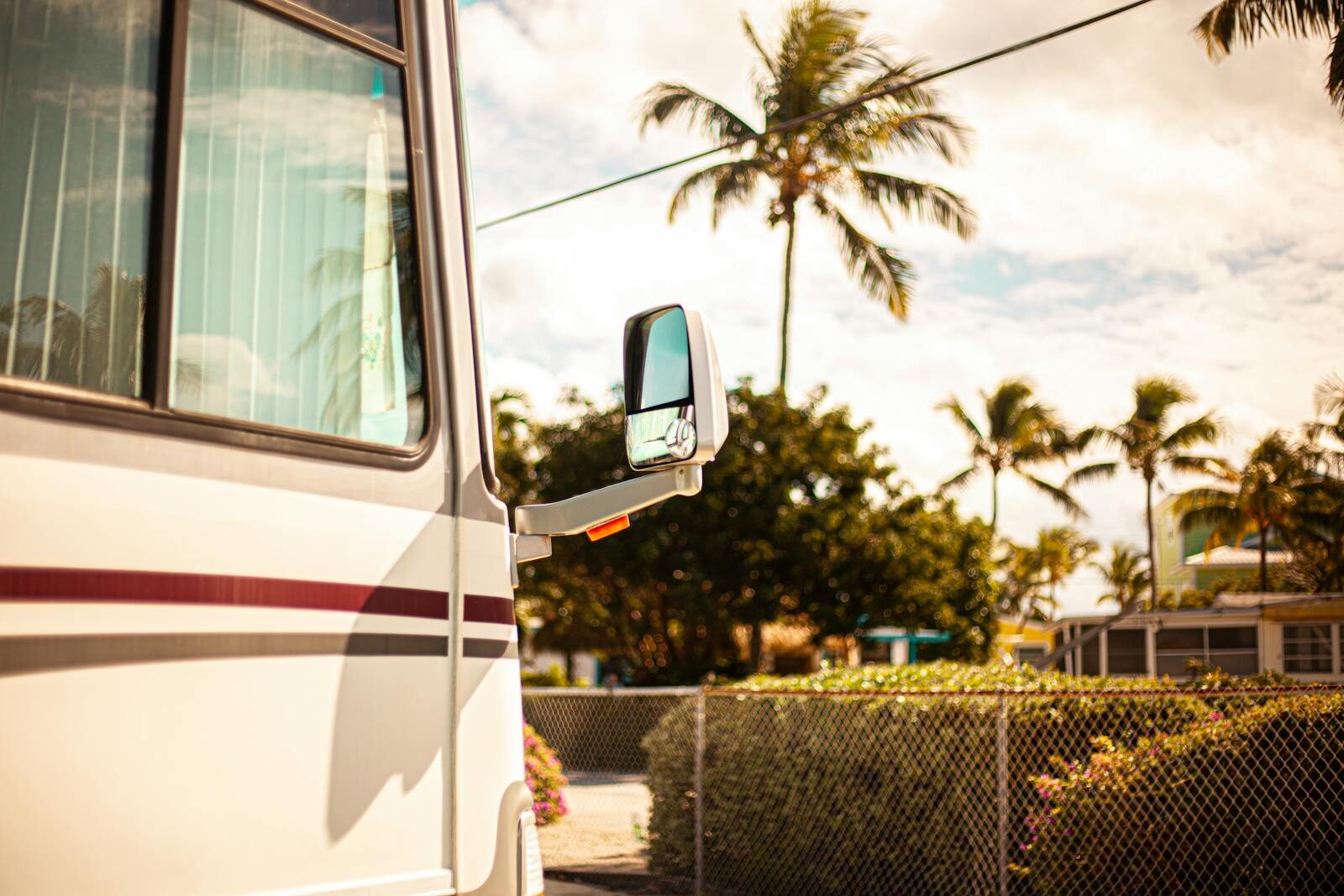 Side mirror reflection of RV amidst a tropical backdrop, palm trees visible.
