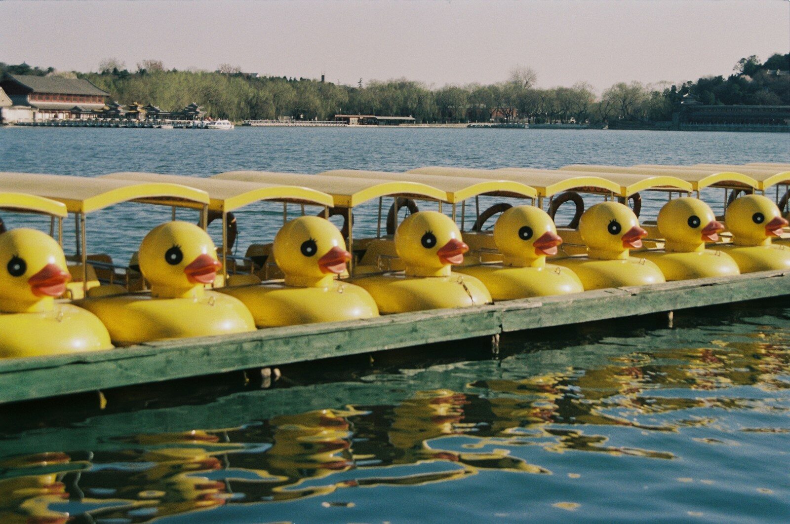 Photo by Bournes senruoB a row of yellow rubber ducks sitting on top of a body of water