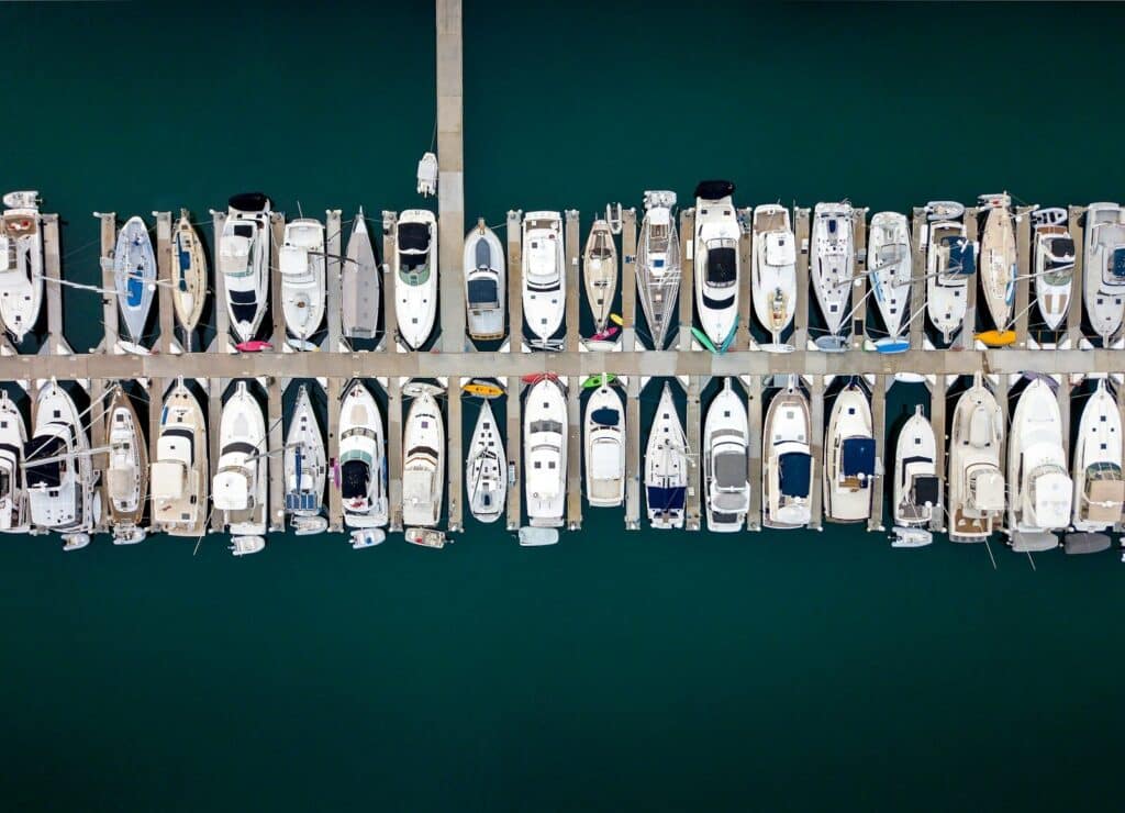 a row of fish on a line