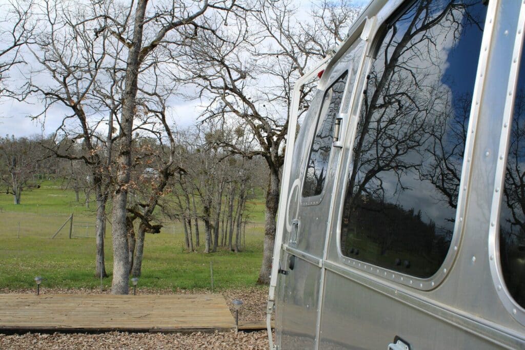 A silver bus parked next to a tree filled field