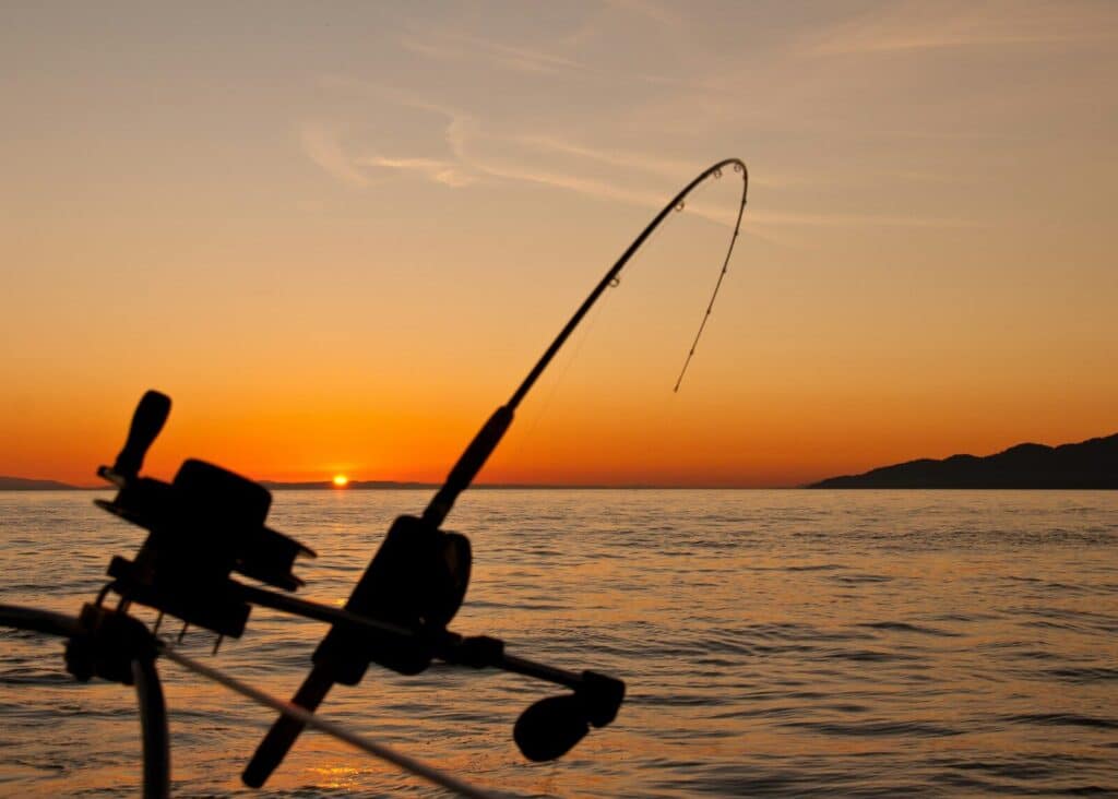 black fishing rod and body of water during golden hour Ranger Boats Buying Guide | What Buyers Should Know About Ranger Boats