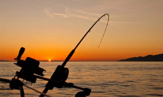 Ranger Boats Buying Guide | What Buyers Should Know About Ranger Boats