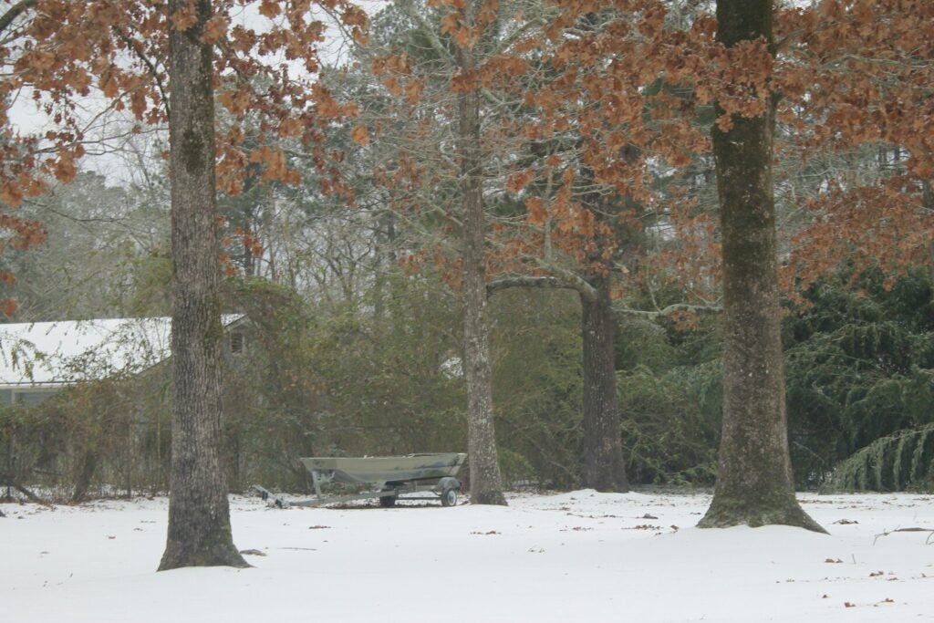 Snow falls on trees and a park bench.
