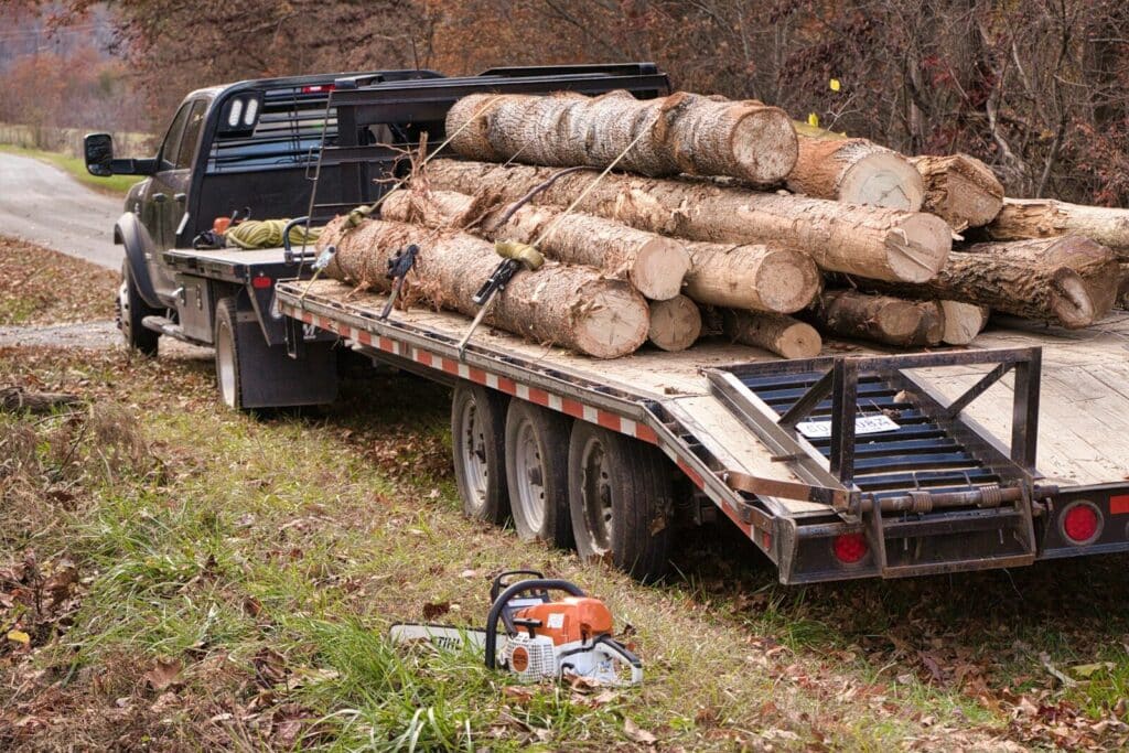 A flatbed truck loaded with logs on a dirt road