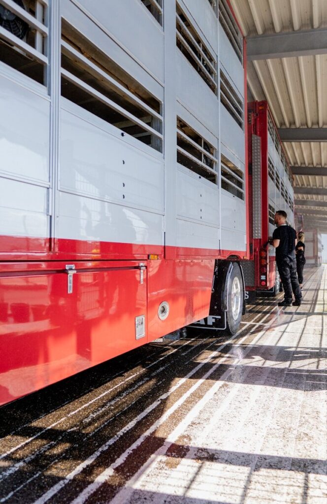 Two men standing by a livestock trailer